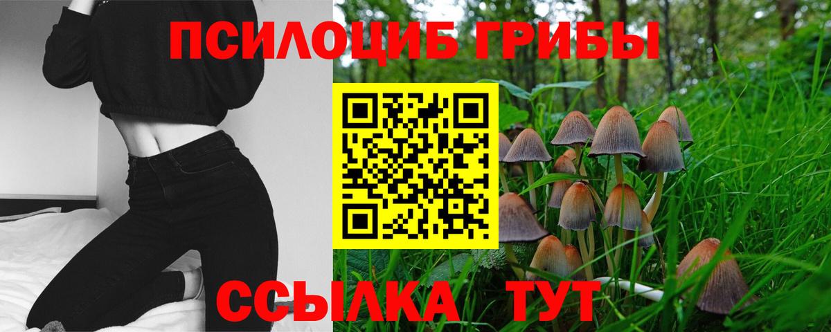 Псилоцибиновые грибы ЛСД Ярославль