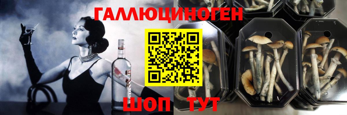 Ярославль  Псилоцибиновые грибы мухоморы  Вход с VPN 